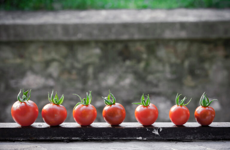 “Técnica Pomodoro” para ser productivo en tus estudios